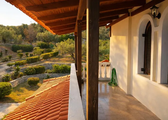 Blue Dandelion Paliouri