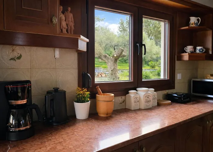 Blue Dandelion * Paliouri