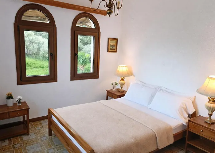 Blue Dandelion * Paliouri