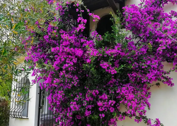 Villa Blue Dandelion Paliouri