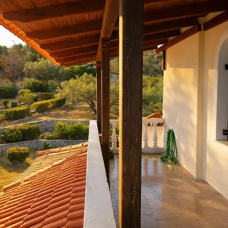 Blue Dandelion Paliúri