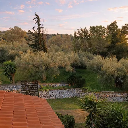 Blue Dandelion Villa Paliouri